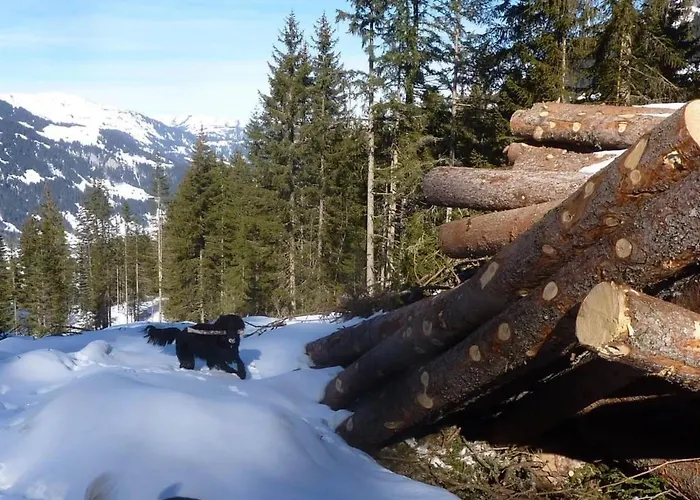 Sumpfboedeli By Interhome Lägenhet