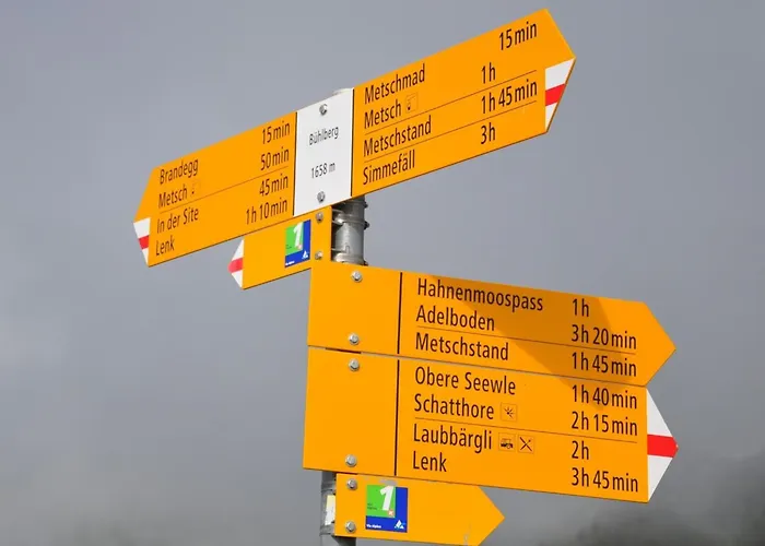 Sumpfboedeli By Interhome Lägenhet Lenk