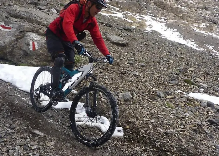 Sumpfboedeli By Interhome