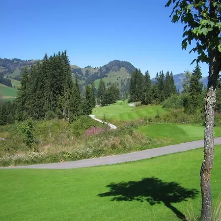 Apartment Sumpfbödeli Lenk im Simmental